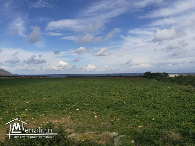 terrain dar allouch pied dans l'eau