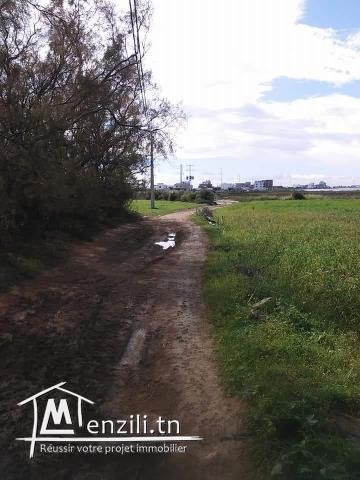 ساحة للبيع في اروع بحر في قليبية