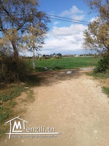 ساحة للبيع في اروع بحر في قليبية