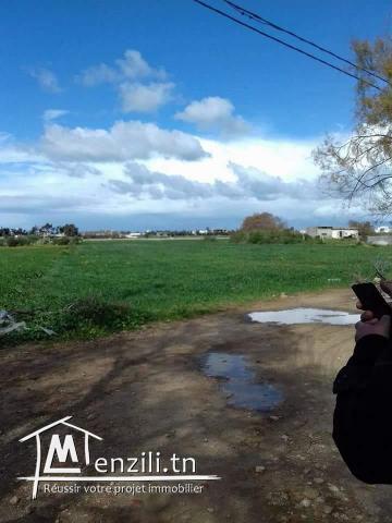 ساحة للبيع في اروع بحر في قليبية