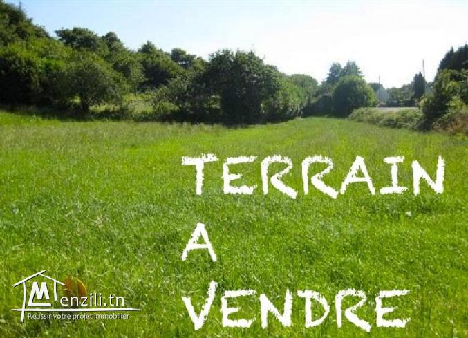 اراضي فلاحية للبيع في بنزرت