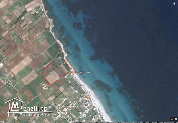 terrain dar allouch 125m