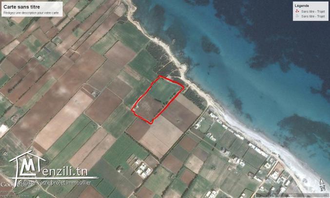 أراضي على البحر صالحة للبناء