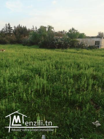 Vendre un terrain à Carthage hannibal