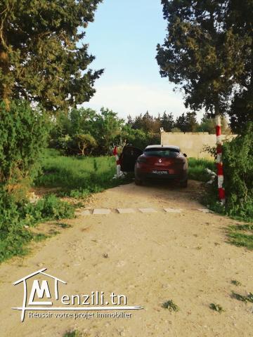 Vendre un terrain à Carthage hannibal