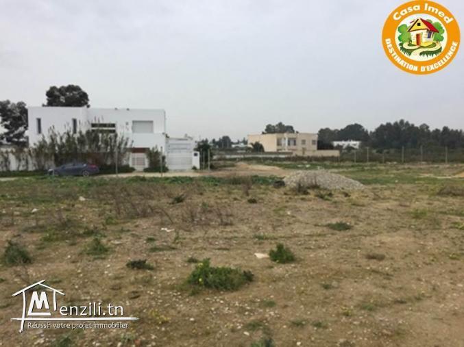 terrain au zone voisinage