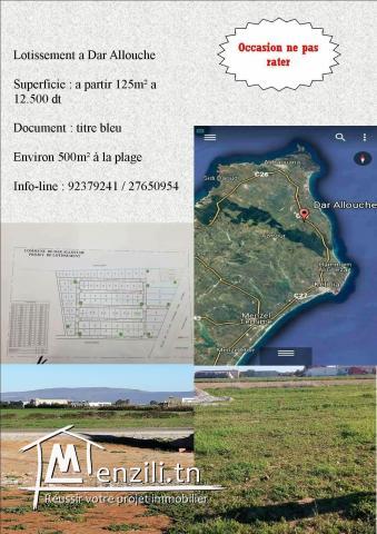 Des lots à partir de 100DT/m