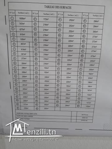 Des lots à partir de 100DT/m