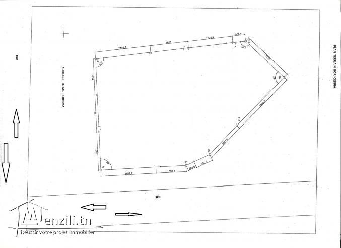 vend terrain a borj cedria