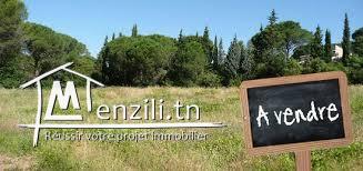 Une ferme à route Gremda