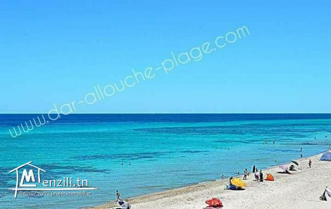 terrain dar allouche