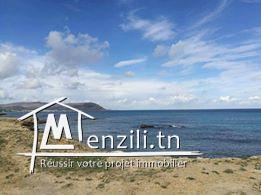 terrain dar allouche