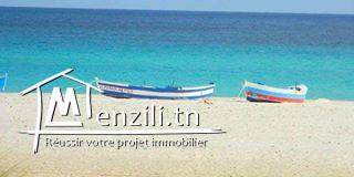 terrain dar allouche