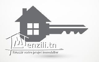 des appartements meubles a louer a laouina et hay el wahat