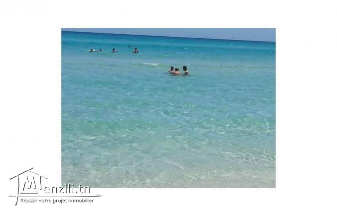 terrain a la plage mahdia lekhmara