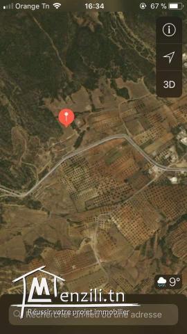 قطعة ارض للبيع صالحة للبناء أو للزراعة