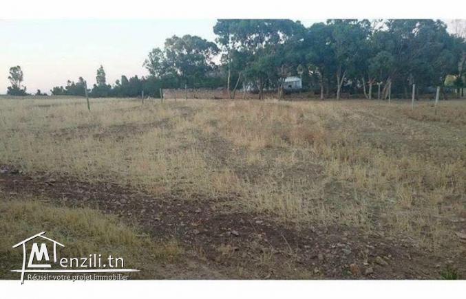 أرض مساحتها 2700 متر مربع ببوعرقوب نابل