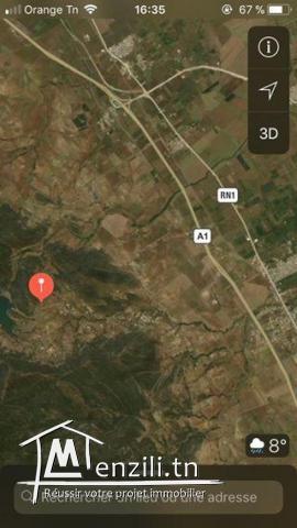 أرض مساحتها 2700 متر مربع ببوعرقوب نابل