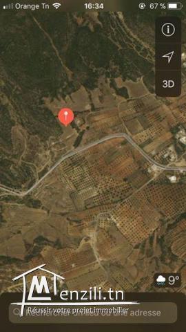 أرض مساحتها 2700 متر مربع ببوعرقوب نابل