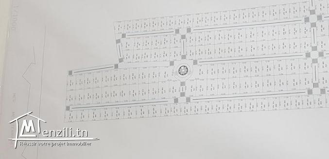 terrain pied dans l'eau