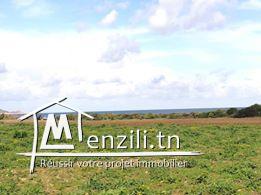 terrain pied dans l'eau