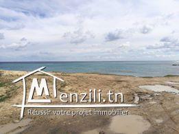 terrain pied dans l'eau