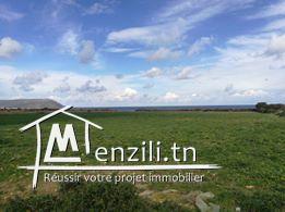 terrain pied dans l'eau