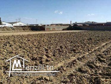 terrain industrielle dans la zone industrielle de Nabeul