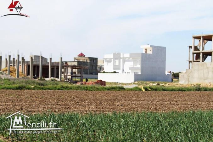 Terrain el Mansoura à Kélibia