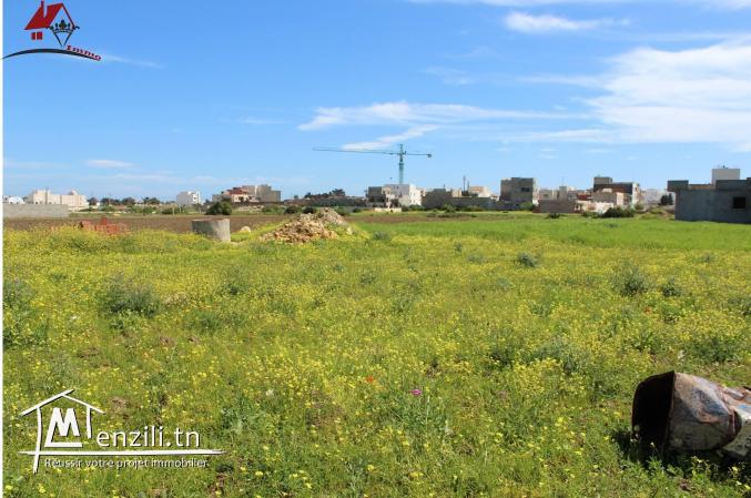 Terrain el Mansoura à Kélibia