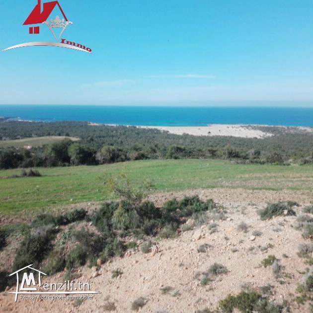 15 Hectares pieds dans l’eau