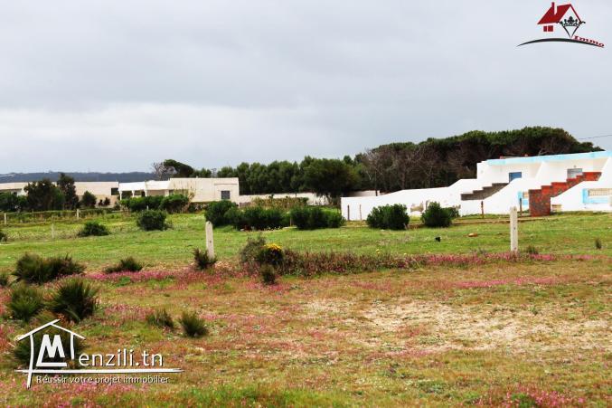 Terrain à Kerkouane Kélibia