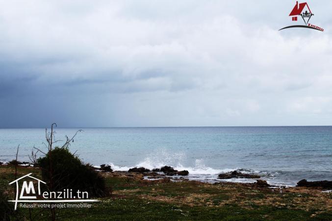 Terrain à Kerkouane Kélibia