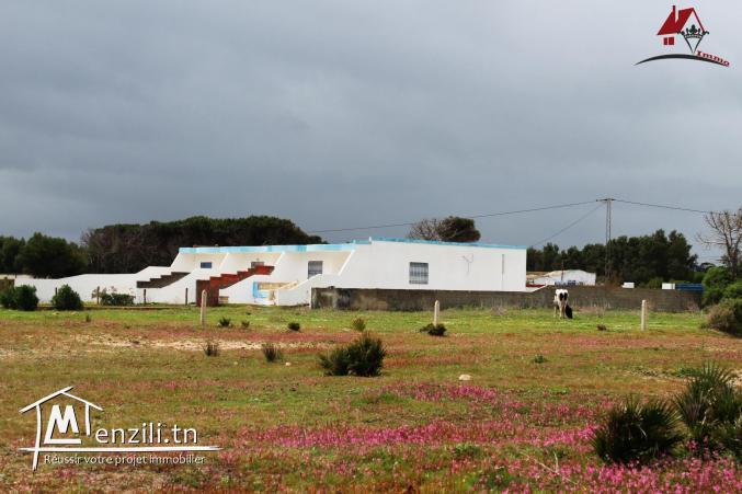 Terrain à Kerkouane Kélibia