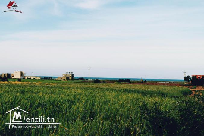 Terrain à Dar Allouch de 1000m² 