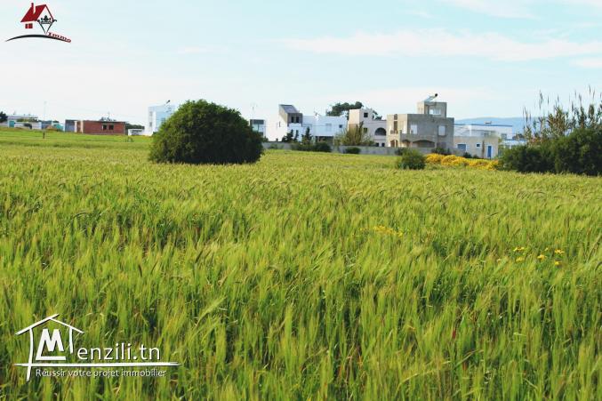 Terrain à Dar Allouch de 1000m² 