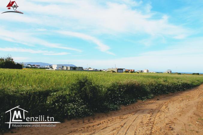 Terrain à Dar Allouch de 1000m² 