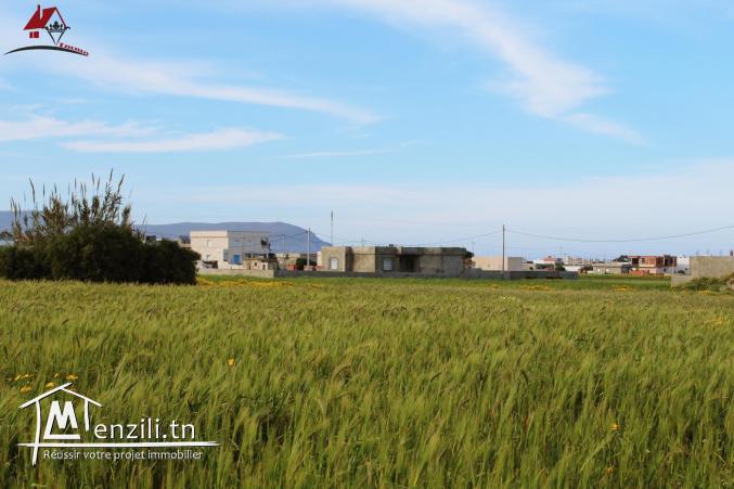 Terrain à Dar Allouch de 1000m² 