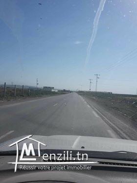 A vendre 3 lot de terrain