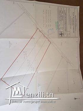 A vendre 3 lot de terrain