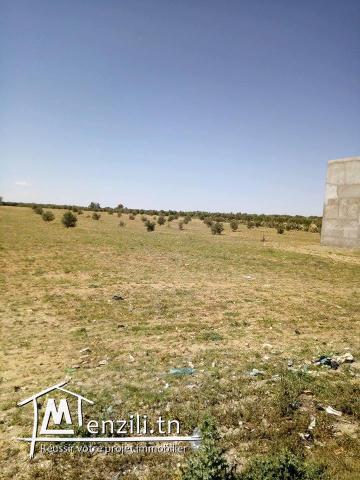 terraain dans une zone commerciale