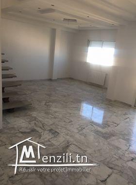 duplexe s3 haut gamme