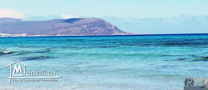 بلاصة ياسر مزيانة وبحر يعمل الكيف