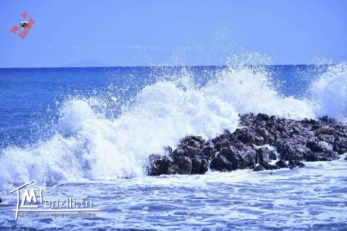 بلاصة ياسر مزيانة وبحر يعمل الكيف