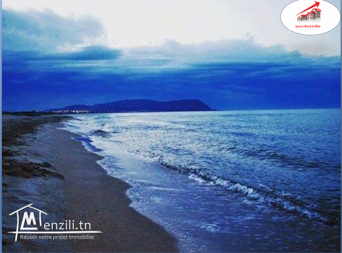 بلاصة ياسر مزيانة وبحر يعمل الكيف