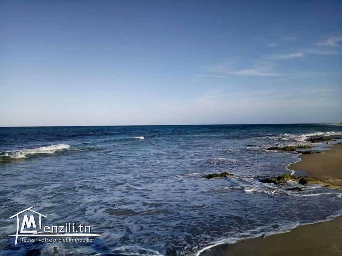 فرصة أراضي على البحر