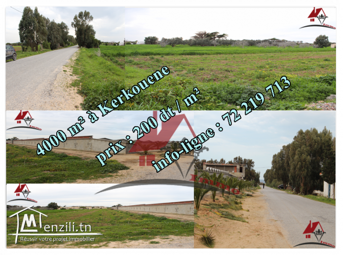 4000 m² à Kerkouene
