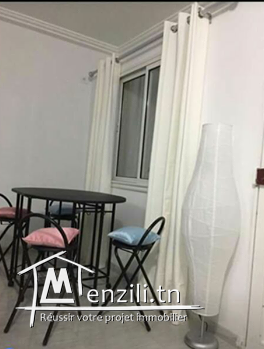 appartement de luxe S+1