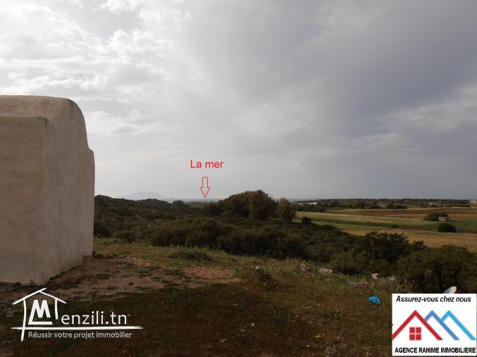 Terrain agricole de 16800m2 orienté par la mer