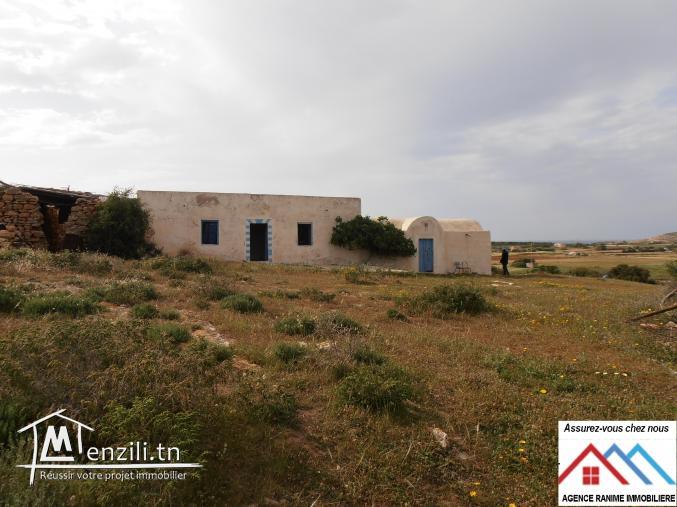 Terrain agricole de 16800m2 orienté par la mer